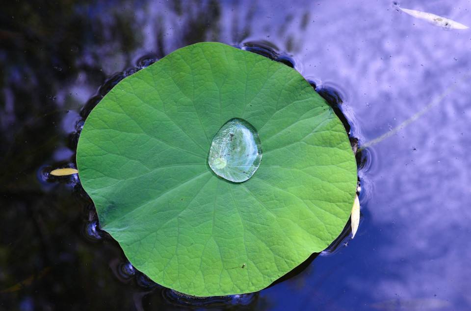 圖片關(guān)鍵詞